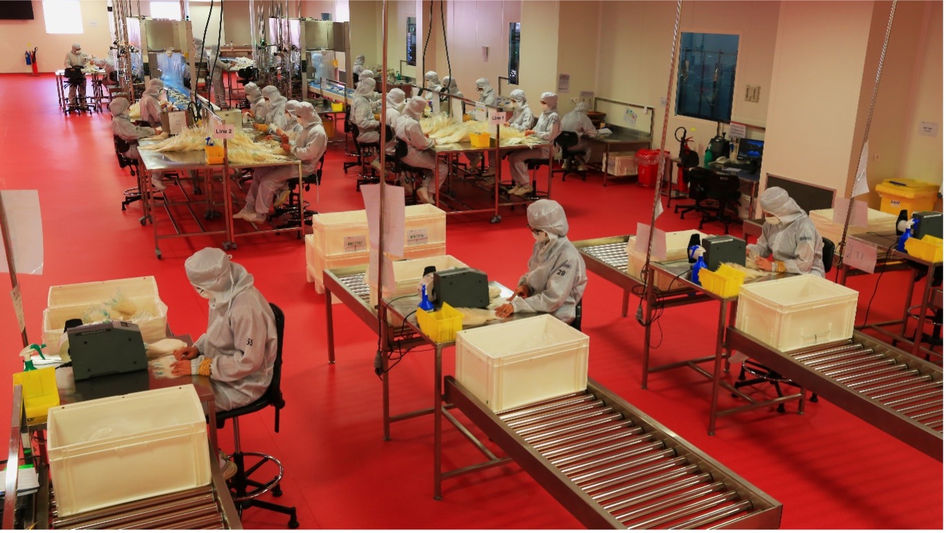 ISTAMED CLEAN ROOM ISTAMED CLEAN ROOM picture