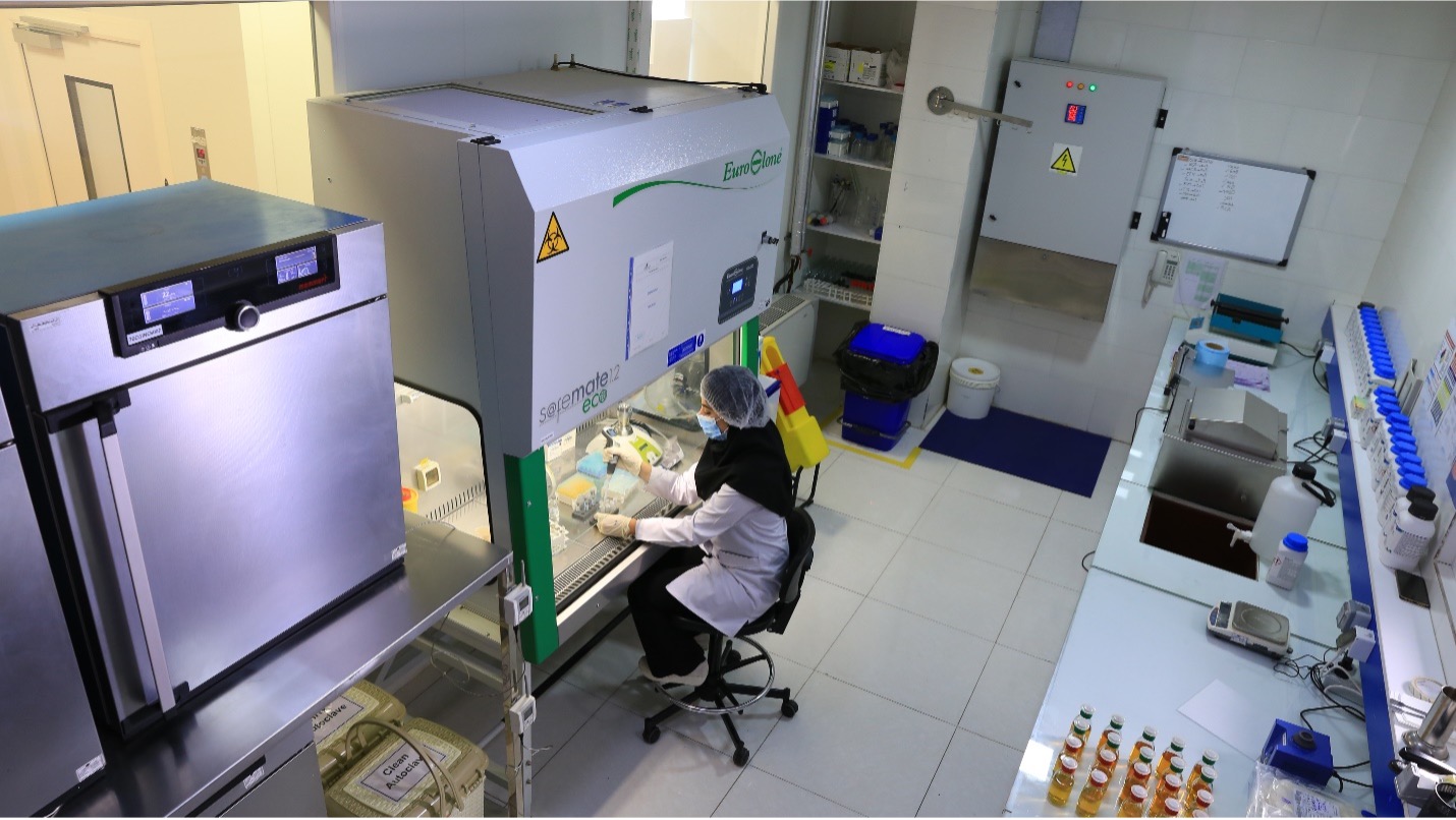 istamed LABORATORIES CONTROL QUALITY istamed LABORATORIES CONTROL QUALITY picture